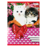product_small_img1